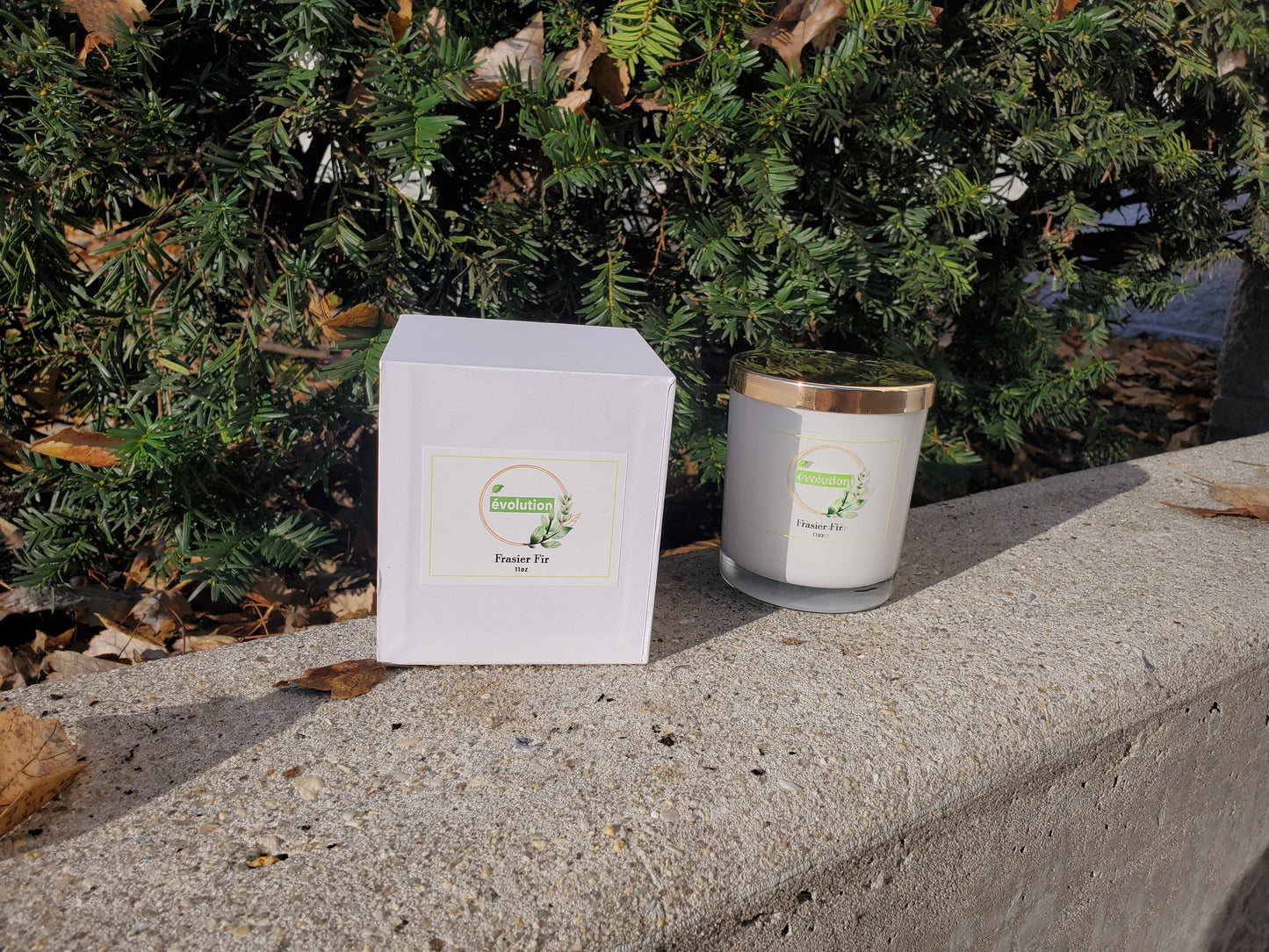 Frasier Fir Scented Candle